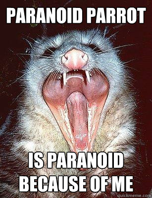 PARANOID PARROt IS PARANOID BECAUSE OF ME  