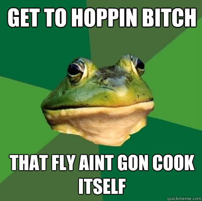 get to hoppin bitch that fly aint gon cook itself  Foul Bachelor Frog
