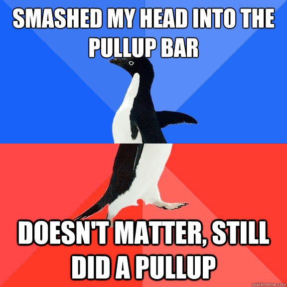 Smashed my head into the pullup bar Doesn't matter, still did a pullup  Socially Awkward Awesome Penguin