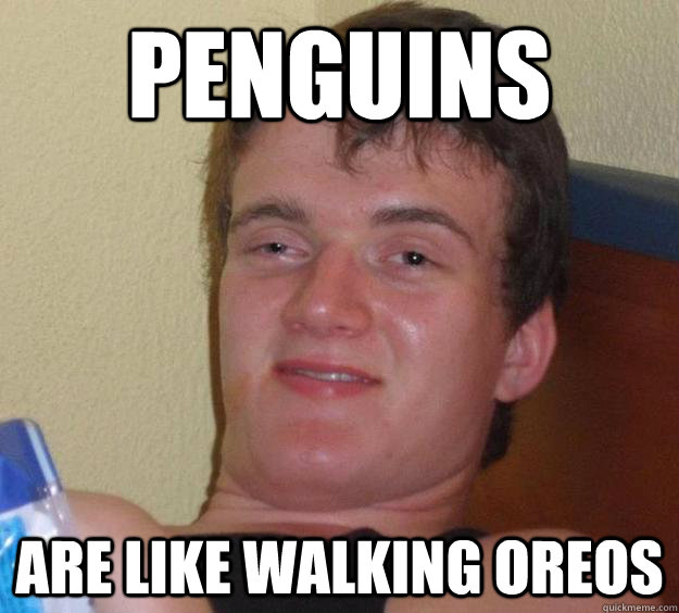 Penguins Are like walking oreos  10 Guy