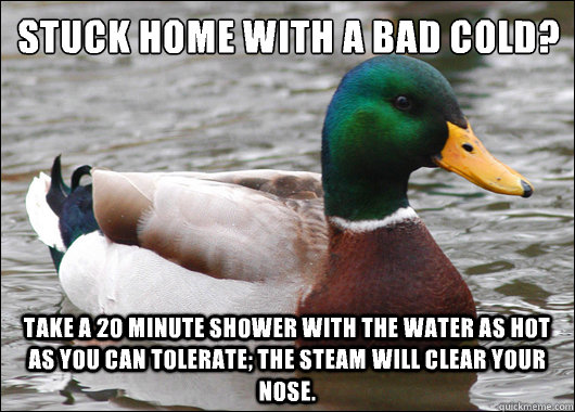 Stuck home with a bad cold? Take a 20 minute shower with the water as hot as you can tolerate; the steam will clear your nose.  Actual Advice Mallard