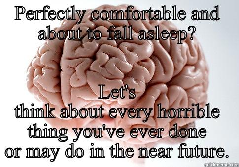 PERFECTLY COMFORTABLE AND ABOUT TO FALL ASLEEP? LET'S THINK ABOUT EVERY HORRIBLE THING YOU'VE EVER DONE OR MAY DO IN THE NEAR FUTURE. Scumbag Brain
