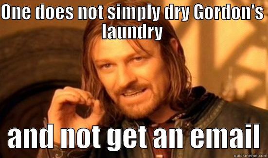 ONE DOES NOT SIMPLY DRY GORDON'S LAUNDRY   AND NOT GET AN EMAIL Boromir