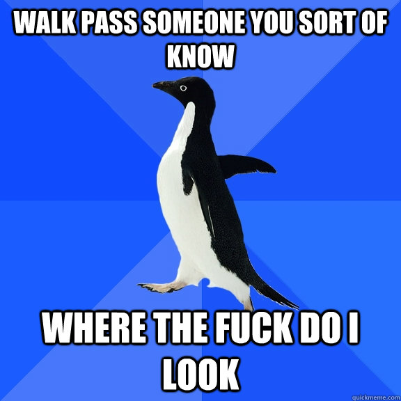 walk pass someone you sort of know where the fuck do i look  Socially Awkward Penguin