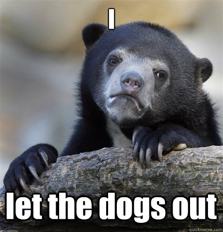 I let the dogs out  Confession Bear