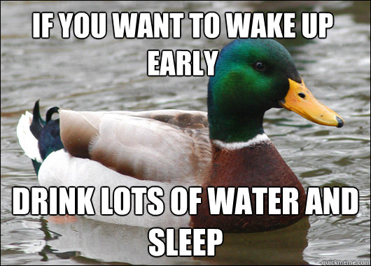 If you want to wake up early Drink lots of water and sleep  Actual Advice Mallard