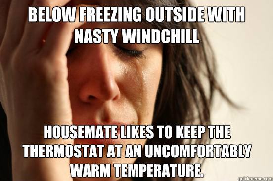 Below freezing outside with nasty windchill Housemate likes to keep the thermostat at an uncomfortably warm temperature.  - Below freezing outside with nasty windchill Housemate likes to keep the thermostat at an uncomfortably warm temperature.   First World Problems