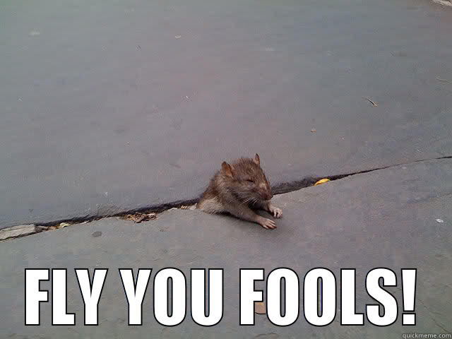  FLY YOU FOOLS! Misc