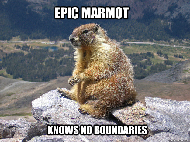 epic marmot knows no boundaries  - epic marmot knows no boundaries   Epic Marmot