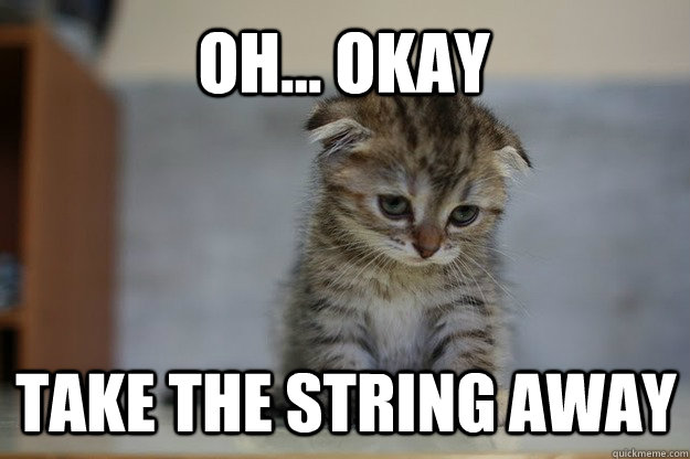 oh... okay take the string away - oh... okay take the string away  Sad Kitten