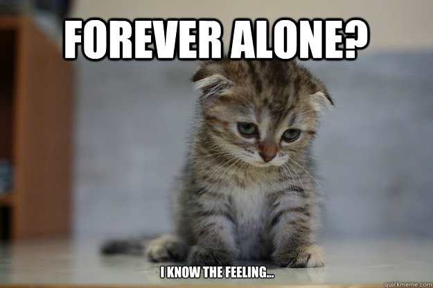 FOREVER ALONE? i know the feeling... - FOREVER ALONE? i know the feeling...  Sad Kitten