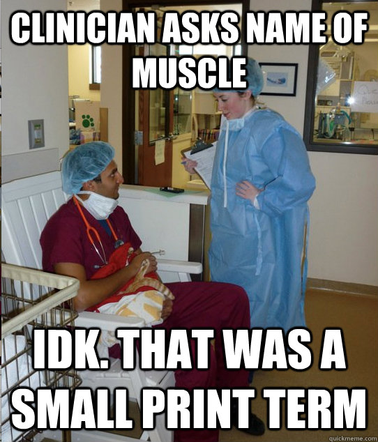 clinician asks name of muscle idk. that was a small print term  Overworked Veterinary Student
