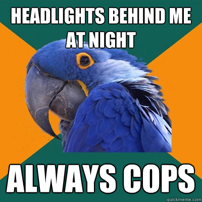 headlights behind me at night always cops  Paranoid Parrot