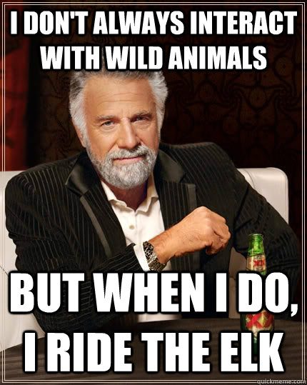 I don't always interact with wild animals but when I do, I ride the elk  The Most Interesting Man In The World