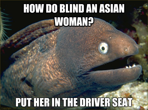 how do blind an asian woman? put her in the driver seat  Bad Joke Eel