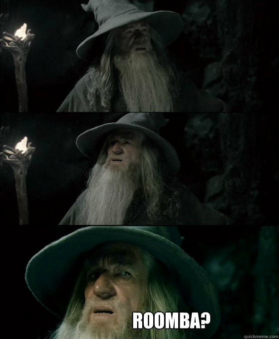  Roomba?  Confused Gandalf