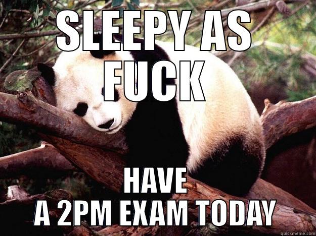 SLEEPY AS FUCK HAVE A 2PM EXAM TODAY Procrastination Panda