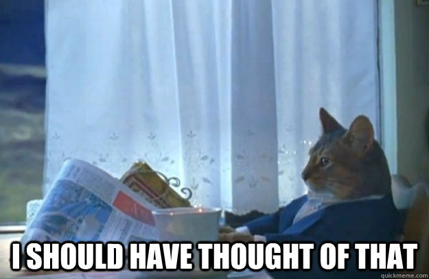  i should have thought of that  Sophisticated Cat