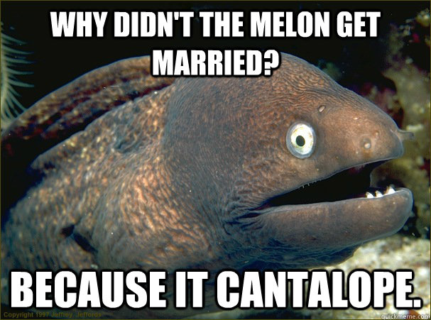 Why didn't the melon get married? Because it cantalope.  Bad Joke Eel