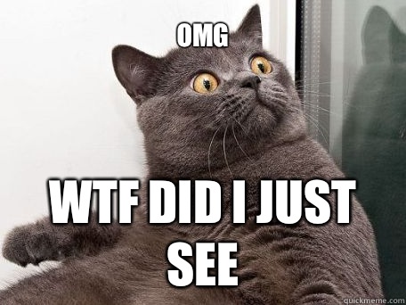 OMG WTF did I just see - OMG WTF did I just see  conspiracy cat