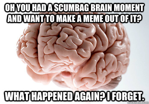 oh you had a scumbag brain moment and want to make a meme out of it? what happened again? i forget.  Scumbag Brain