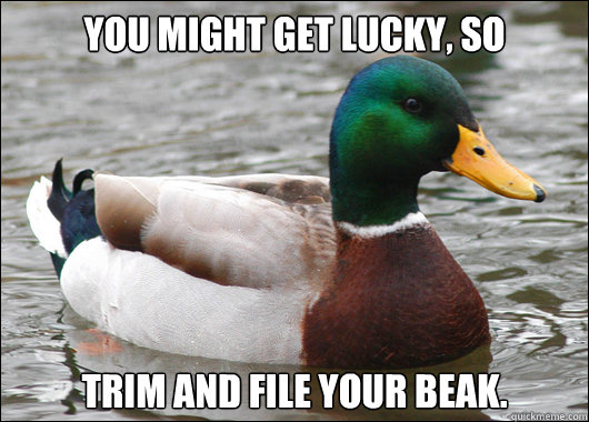 You might get lucky, so Trim and file your beak.  Actual Advice Mallard