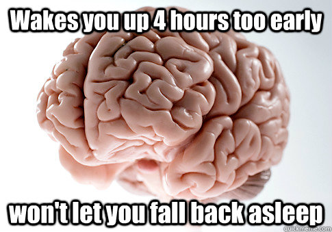 Wakes you up 4 hours too early won't let you fall back asleep  Scumbag Brain
