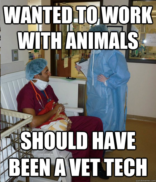 wanted to work with animals  should have been a vet tech - wanted to work with animals  should have been a vet tech  Overworked Veterinary Student