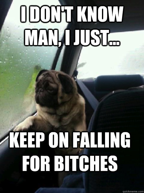 I don't know man, I just... keep on falling  for bitches  Introspective Pug