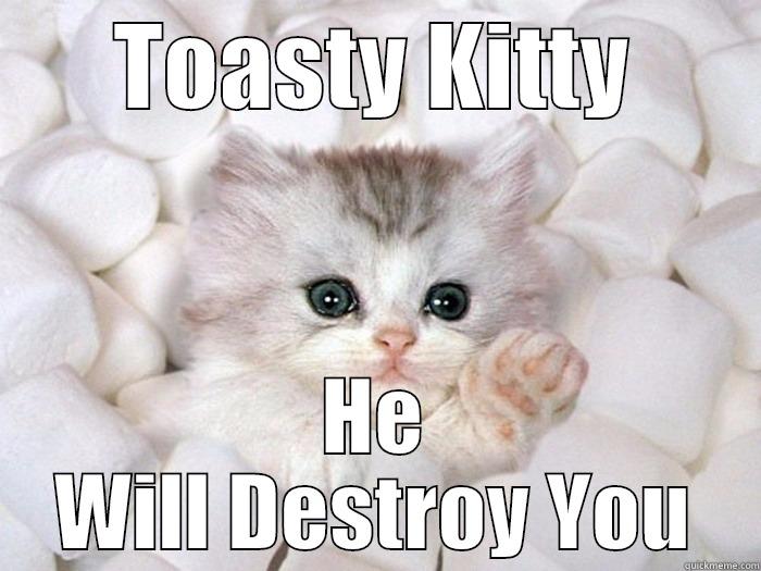 TOASTY KITTY HE WILL DESTROY YOU Misc