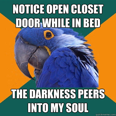 notice open closet door while in bed the darkness peers into my soul  Paranoid Parrot