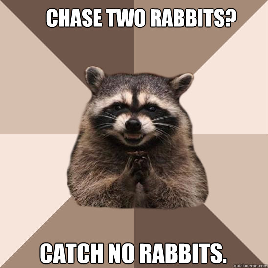 Chase Two rabbits? catch no rabbits.  Evil Plotting Raccoon