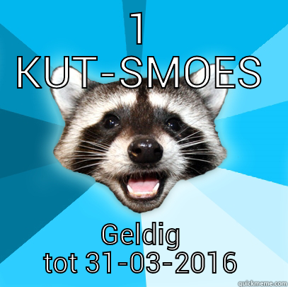 1 KUT-SMOES GELDIG TOT 31-03-2016 Lame Pun Coon