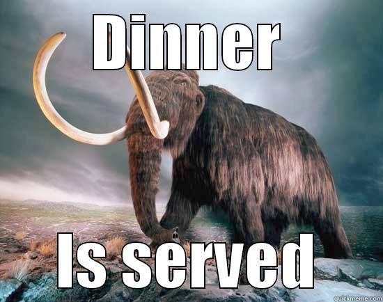 DINNER IS SERVED Misc