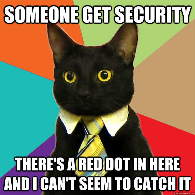 Someone get security there's a red dot in here and i can't seem to catch it - Someone get security there's a red dot in here and i can't seem to catch it  Business Cat