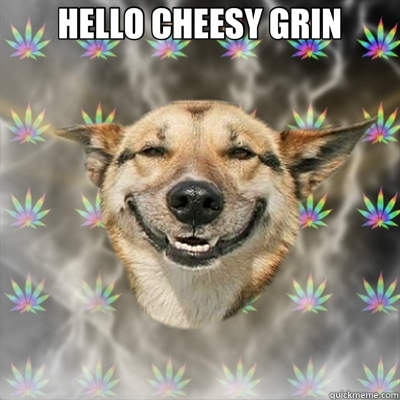 HELLO CHEESY GRIN   Stoner Dog