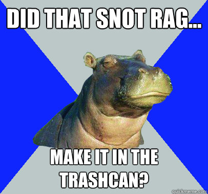did that snot rag... make it in the trashcan?  Skeptical Hippo