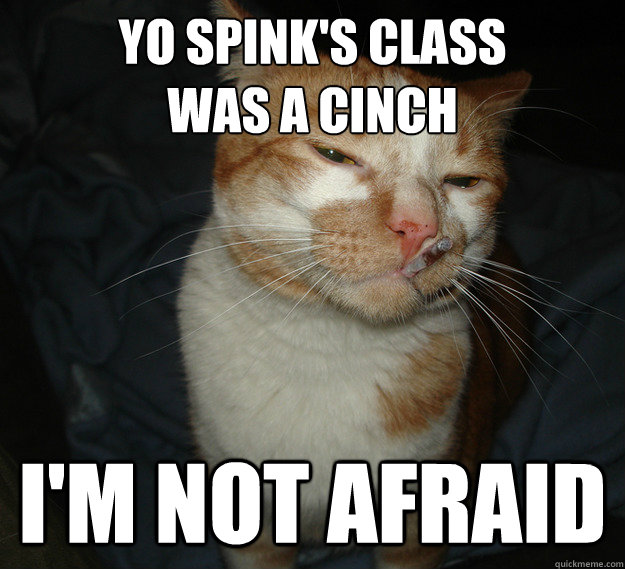 YO SPINK'S CLASS 
WAS A CINCH I'm not AFRAID  Cool Cat Craig