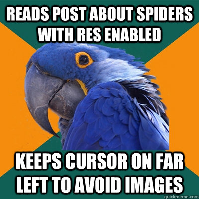 Reads post about spiders with RES enabled Keeps cursor on far left to avoid images  Paranoid Parrot