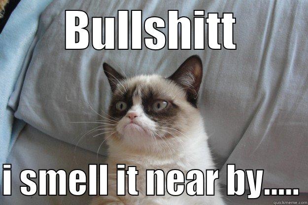 BULLSHITT  I SMELL IT NEAR BY..... Grumpy Cat