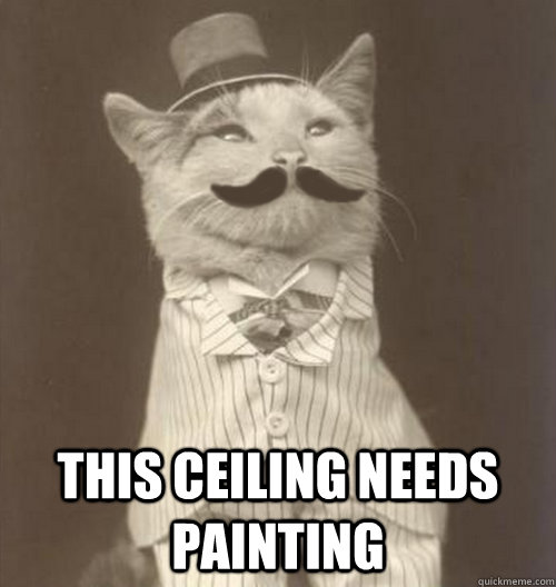  this ceiling needs painting -  this ceiling needs painting  Original Business Cat