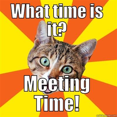 WHAT TIME IS IT? MEETING TIME! Bad Advice Cat