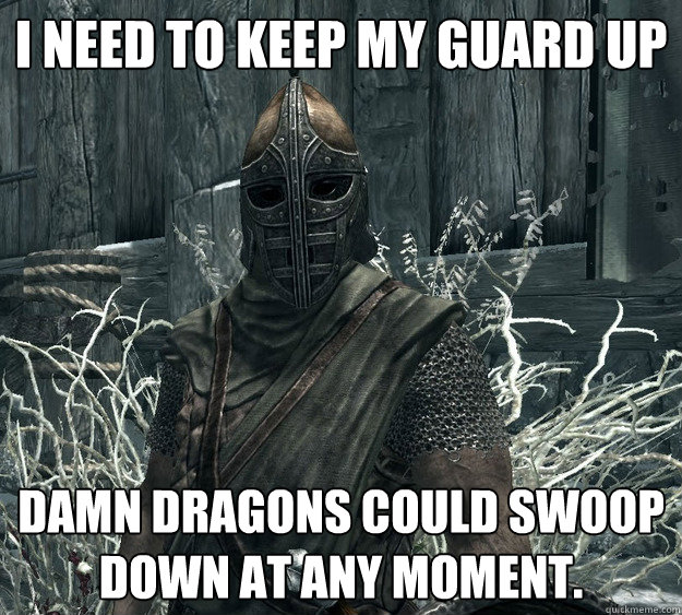 I need to keep my guard up damn dragons could swoop down at any moment. - I need to keep my guard up damn dragons could swoop down at any moment.  Skyrim Guard