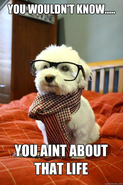 YOU WOULDN'T KNOW..... YOU AINT ABOUT THAT LIFE  Hipster Dog