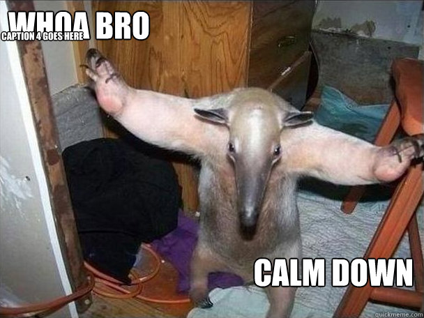 WHOA BRO CALM DOWN  Caption 4 goes here  I got this