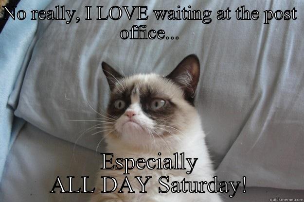 NO REALLY, I LOVE WAITING AT THE POST OFFICE... ESPECIALLY ALL DAY SATURDAY! Grumpy Cat