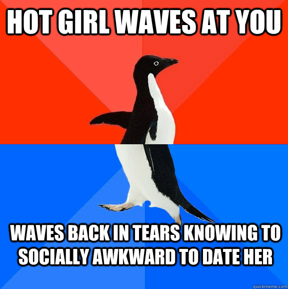 hot girl waves at you waves back in tears knowing to socially awkward to date her  Socially Awesome Awkward Penguin