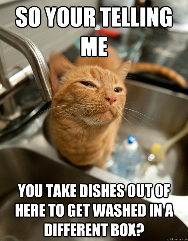 So your telling me you take dishes out of here to get washed in a different box? - So your telling me you take dishes out of here to get washed in a different box?  Skeptical Sink Cat