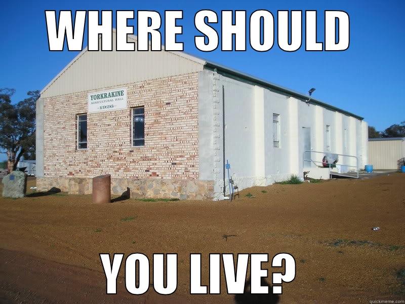 Yorkie Meme - WHERE SHOULD YOU LIVE? Misc