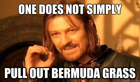 One Does Not Simply pull out bermuda grass  Boromir